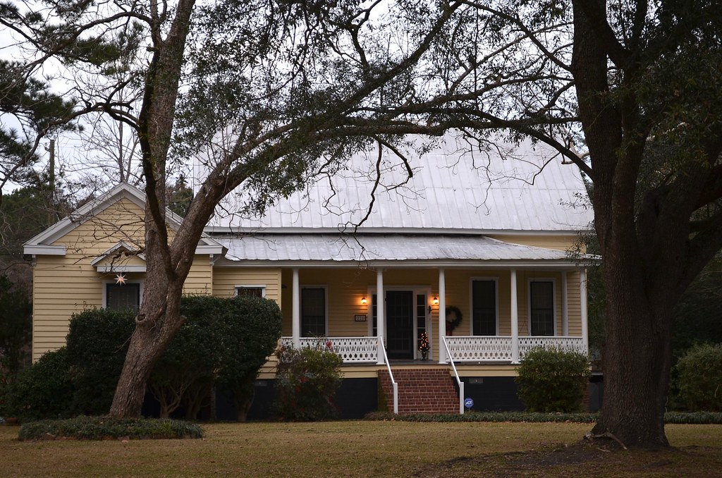 DSC_0622 Ridgeville, SC mogollon_1 Flickr