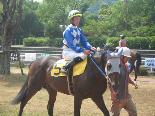 高知競馬で騎乗していた濱田達也騎手