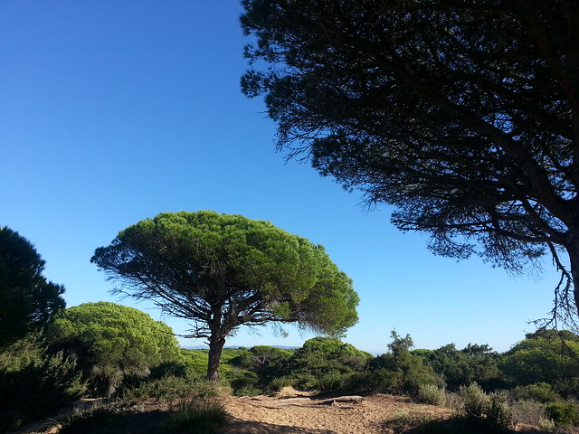 Parque Natural de La Breña y Marismas del Barbate Andalusien