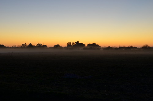 argentina fog sunrise nikon amanecer campo 1855mm niebla d5100