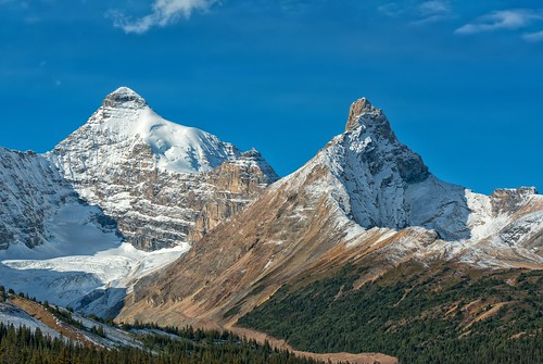 mountathabasca hildapeak athabascaglacier canadianrockies icefieldsparkway peaks mountains banff jasper alberta canada