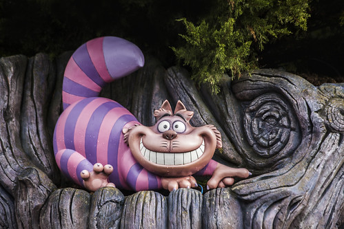 Cheshire Cat
