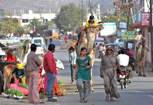 PUSHKAR | by seme di metallo