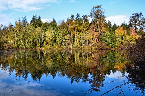 nikond7000 nikkor18to200mmvrlens canada bc britishcolumbia abbotsford fishtrapcreekpark landscape reflections trees fall autumn