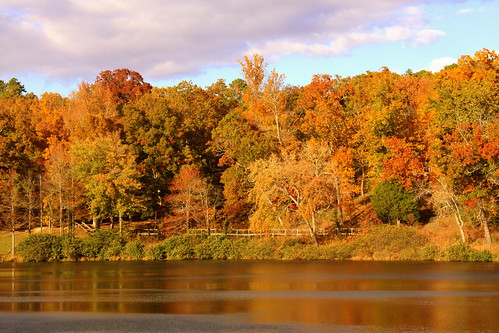 statepark autumn fallleaves lake fall tn tennessee lakeplacid chestercounty chickasawstatepark bmok bmok2