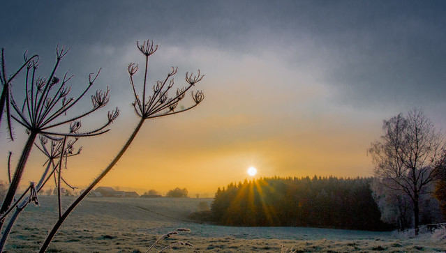 Frosty sunrise / Eiskalter Morgen
