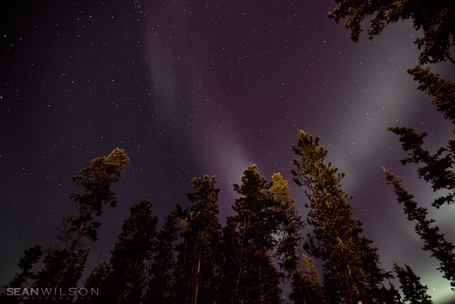 Yukon Lights