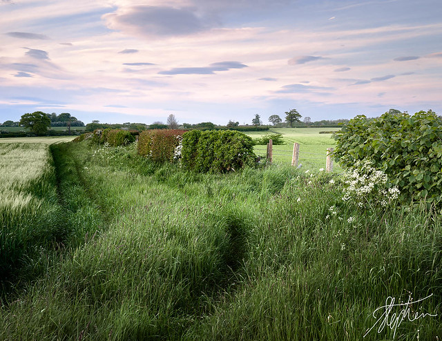 A quiet May evening - Yorkshire