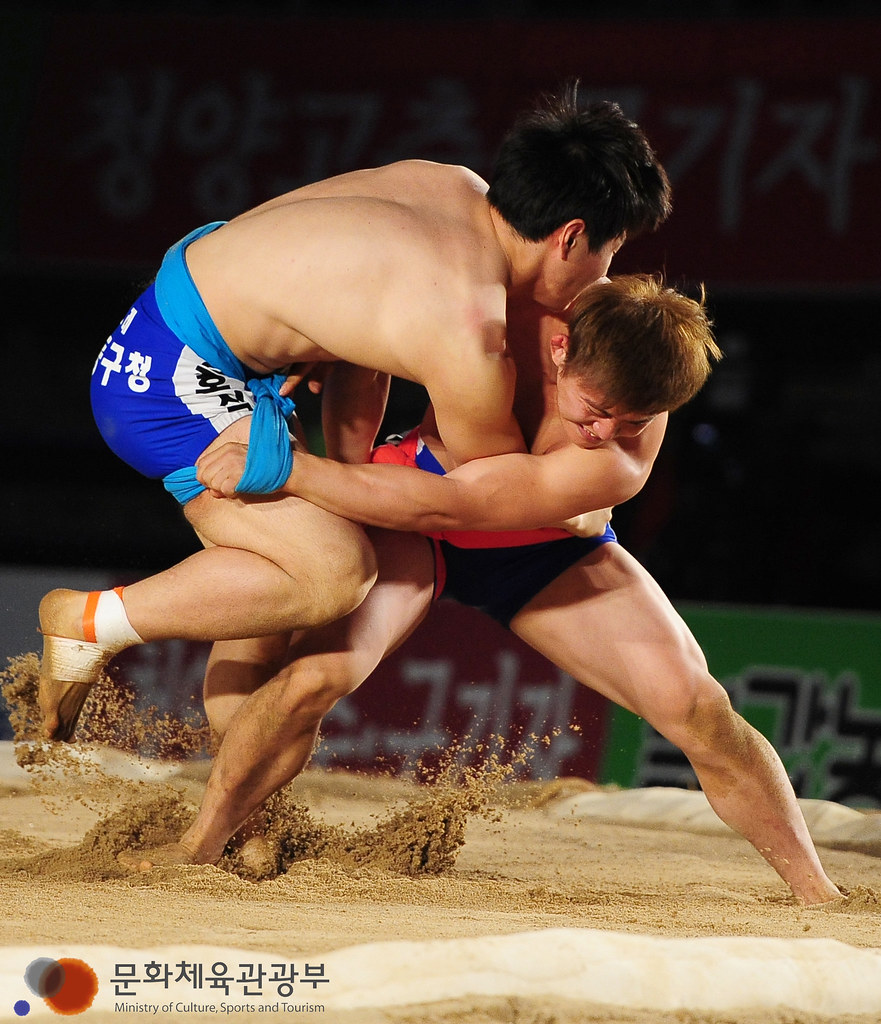 Ssireum (traditional Korean wrestling) held on June 13, 2013 (photo by the ...