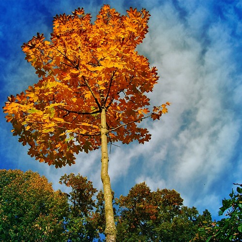 up to the sky | by catman55