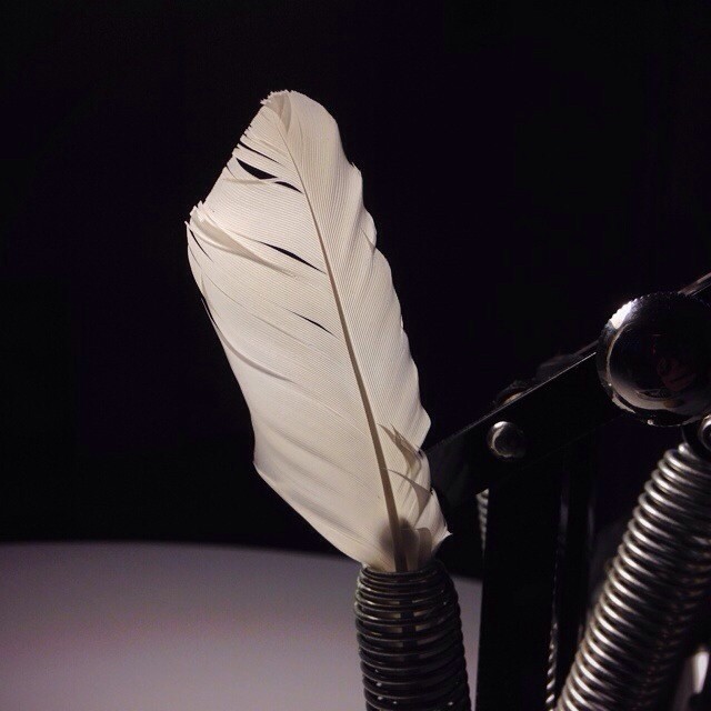 Feather light. | Jon Tan | Flickr