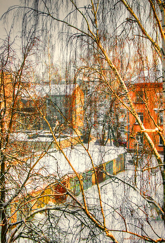 light landscapehouses architecture color panevezyslithuania city town trees birch garages art contemporaryart fineart landscape nellievin photograph print seasons sky snow tree weather winter atmosphere nellievinphotography