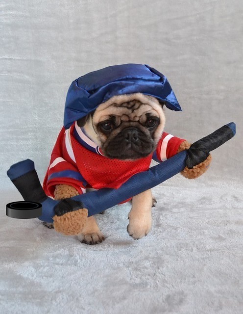 Boo Lefou The Hockey Player Pug