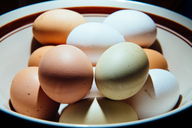 Freshly-laid organic eggs