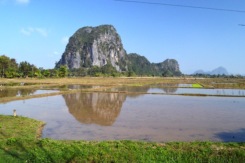 Limestone hills and rice paddies near Chiang Rai 2a
