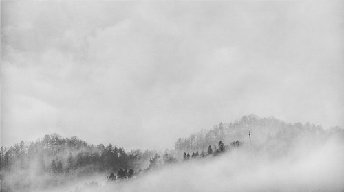 Fog | by damjangosak