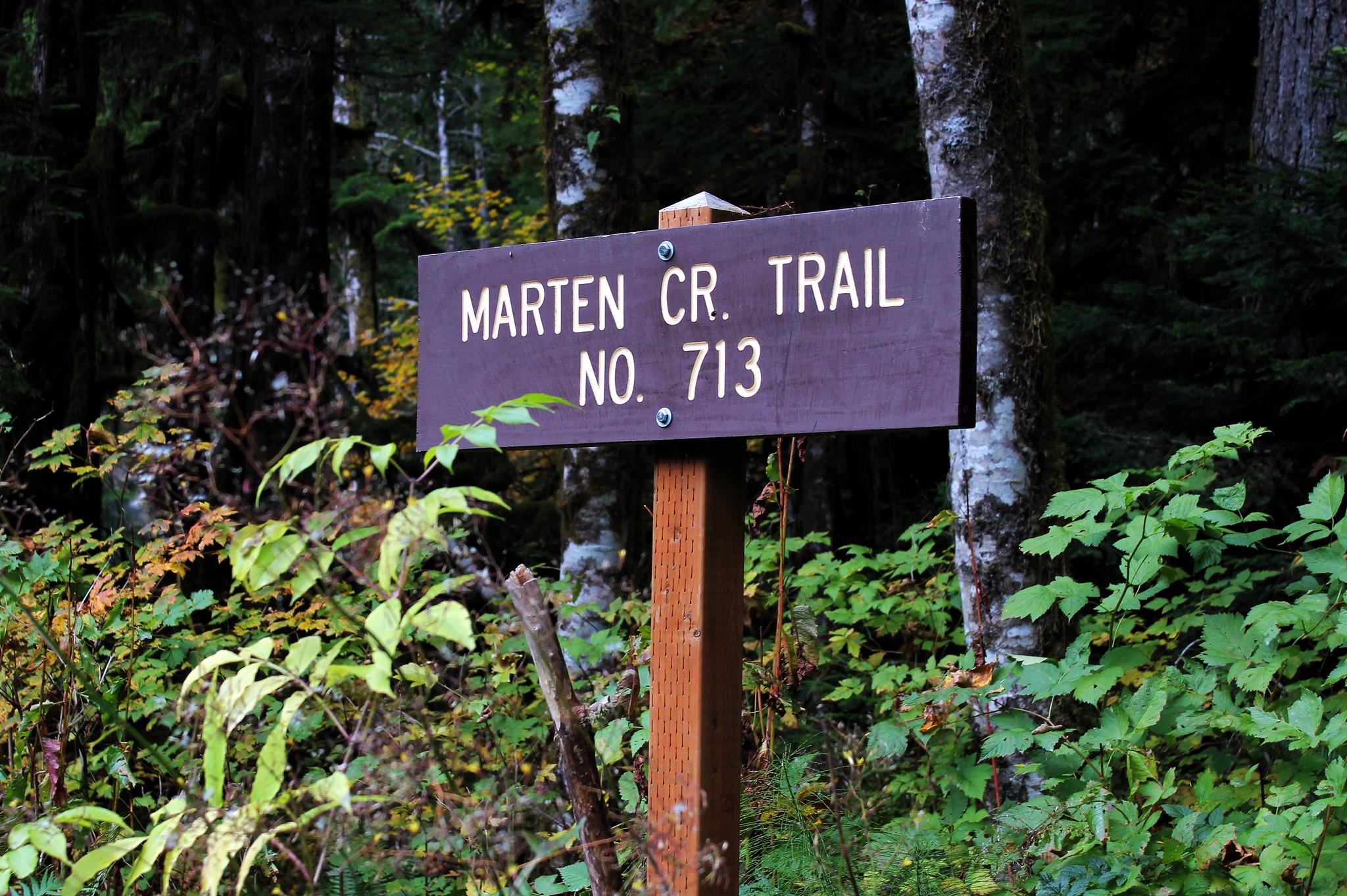 Marten Creek Trail
