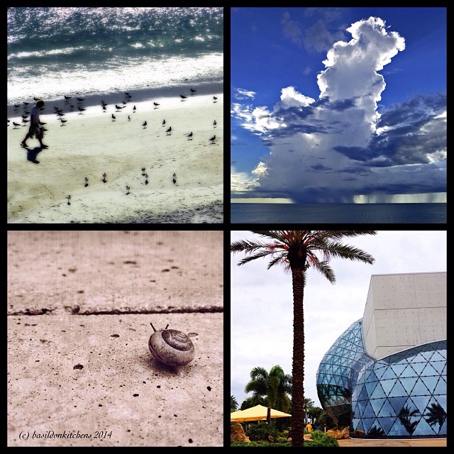 4/1/2014 - 2013 most memorable moments {there were lots of them but our Florida vacation was the most fun} #photoaday #vacation #florida #beach #weather #snail #salvidordali #daligallery #madeirabeach #stpetersburg #clouds