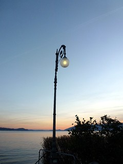 A narcissistic lamppost