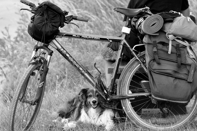 Amour préfère garder le vélo du baroudeur que supporter le vélo du facteur chaque jour devant sa maison , le baroudeur lui,  transporte de la nourriture.....................!