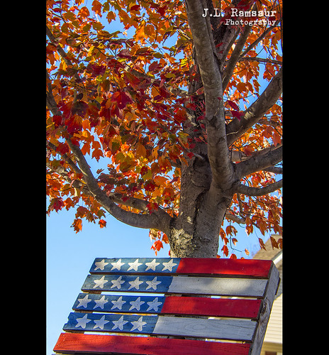 colossians267 colossians thanksgiving happythanksgiving bethankful thankful thanks jlrphotography nikond7200 nikon d7200 photography photo cookevilletn middletennessee putnamcounty tennessee 2016 engineerswithcameras cumberlandplateau photographyforgod thesouth southernphotography screamofthephotographer ibeauty jlramsaurphotography photograph pic cookevegas cookeville tennesseephotographer cookevilletennessee landscape southernlandscape nature outdoors god’sartwork nature’spaintbrush fall fallcolors fallleaves fallseason fallinthesouth colorful colors autumn autumncolors autumninthesouth autumnleaves falltrees autumntrees redwhiteblue patriotic patrioticproud america usa americanflag starsstripes oldglory