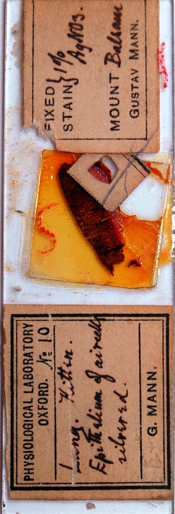 Sherrington's Box Drawer 19, Row 2, Slide 10