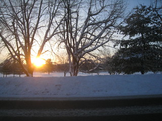 Frozen Sunrise