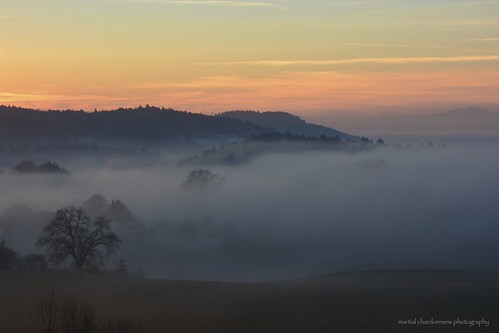 Brouillard à Chandossel by martial chardonnens photography, sunset fog schweiz switzerland soleil photo nikon suisse foggy bleu fribourg paysages brouillard bru