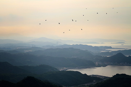 taiwan coast jiufen north sunset evening light dusk birds freedom view travel