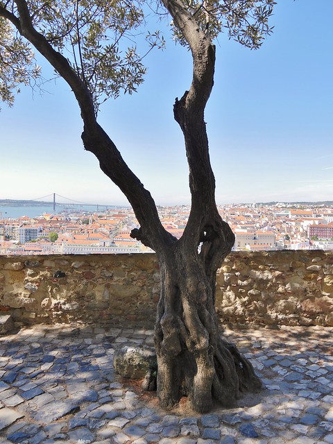 19.09.2016 - Lisbonne, castelo de Sao Jorge (40)