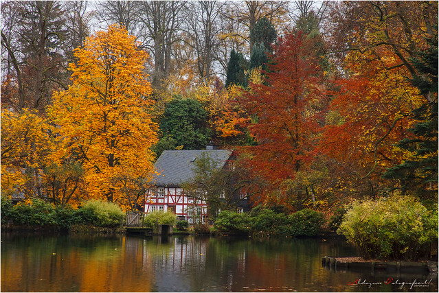 Die Suche nach Herbstfarben. Gefunden im Sauerland