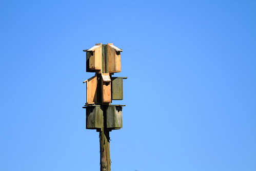 nesting box | by Frank Schmidt
