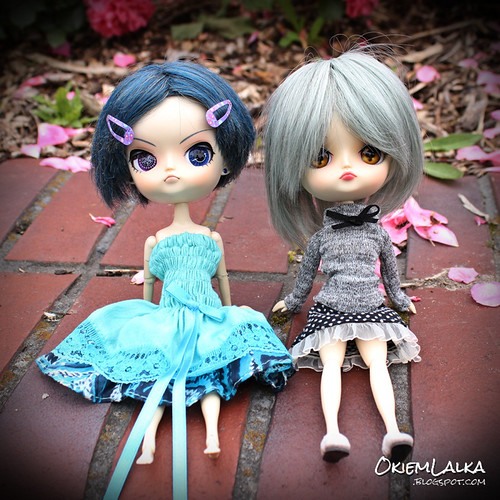 Dal Ciel and Dal Lipoca Custom | by capricornmeadow