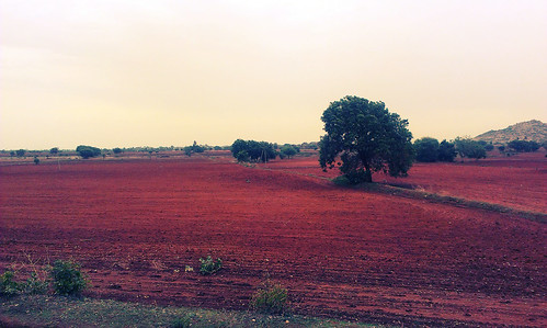 travel blue light red sky panorama terrain brown tree green weather yellow train landscape grey rust day mud cloudy earth farm horizon farming railway overcast ground soil journey land vista ochre phonepix ravages climate turf sights russet tilling andhrapradesh telengana projectweather seemaandhra