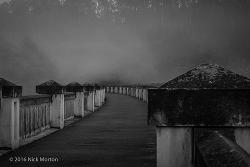 Pathway | by nickmorton50