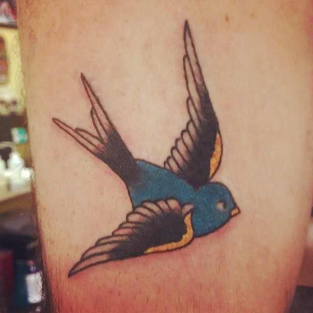 sailorjerry #bluebird #tattoo