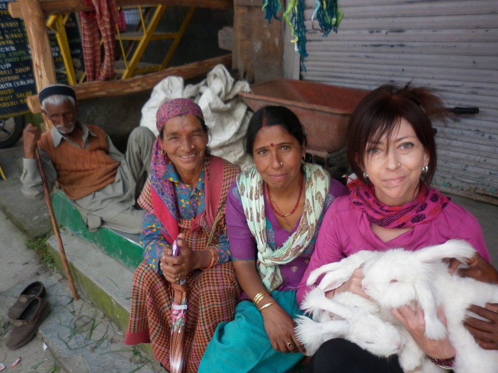 Kullu Rabbit Giant Angora Rabbits of Vashisht | Sirensongs | Flickr