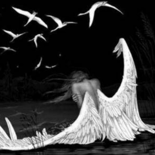 Shared using Gothic Wallpapers! Android application - https://play.google.com/store/apps/details?id=com.sbardyuk.gothicphotos #FREETHINKERS #unique #LOYALPEOPLE #BEAUTIFUL #FOLLOW4FOLLOW #FOLLOWERS #MYFOLLOWERS ♥ #youtube #PEOPLE #twitter #selfie #tagsfor | by corey408