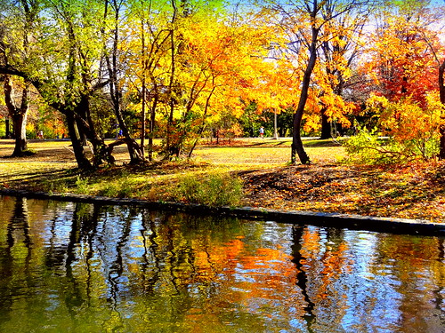 newyork brooklyn dmitriyfomenko image fall autumn prospectpark reflection
