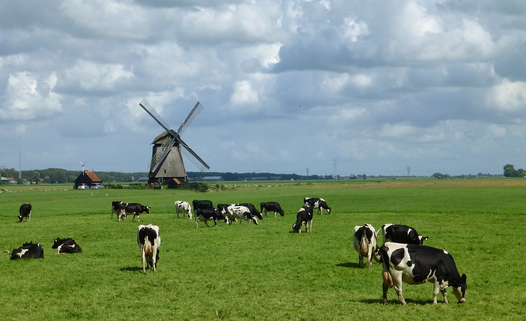 Nederland - Noord-Holland - Zuidschermer - Poldermolen M -1635