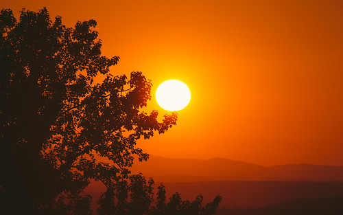 sunset landscape sun outdoors pacificnorthwest pnw canon nature orange tree silhouette hills issaquah canonef100400mmf4556lisusm canoneos5dmarkiii washington wallpaper background