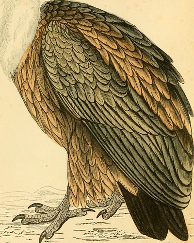 Paternoster