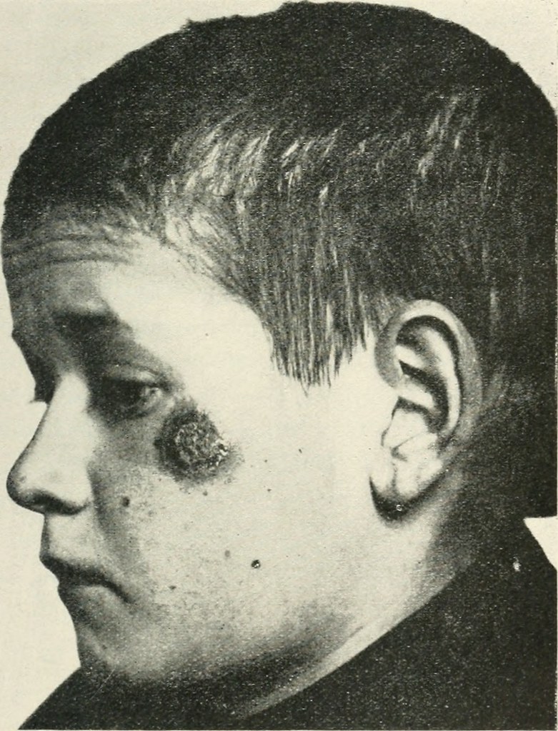Image from page 8 of 