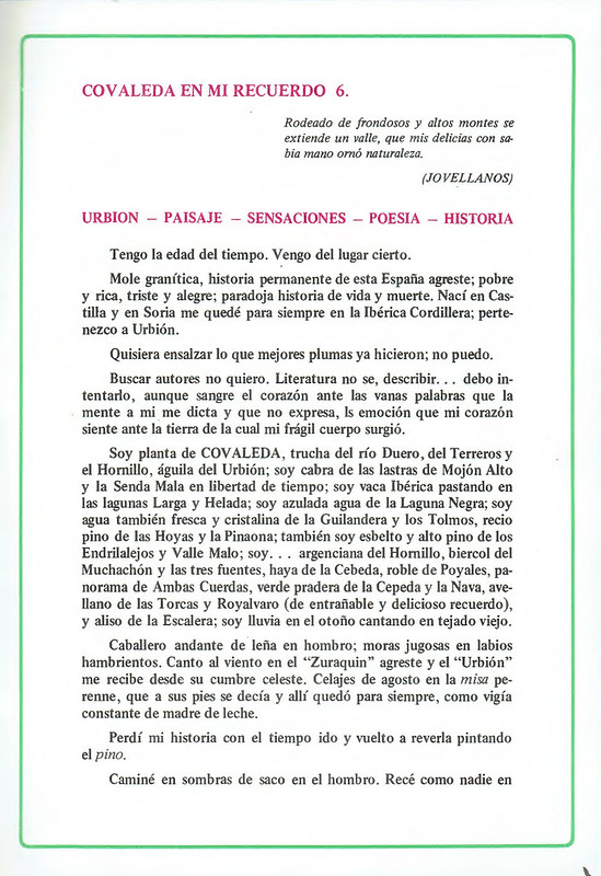 Programa de Fistas de San Lorenzo Año 1982