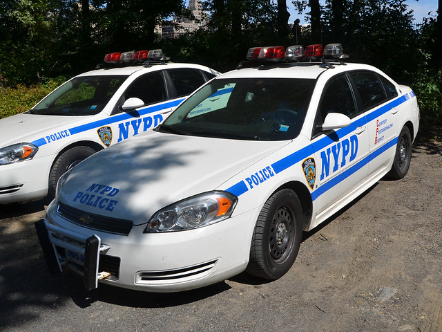 NYPD MNSTF  3083