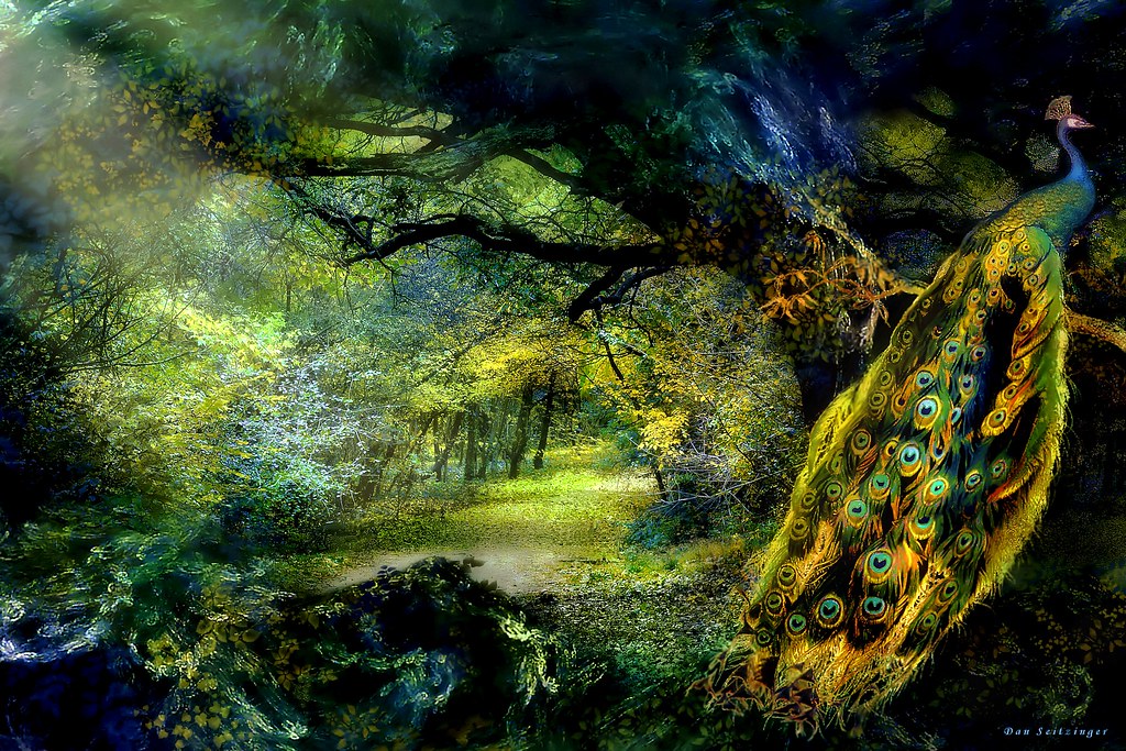 Peacock Forest Fantasy Landscape Artwork by DMS - 7-25-14 - Signed