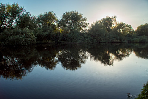 uk blue trees summer reflection water thames river mirror calm surrey backlit oru riverthames autmn 2014