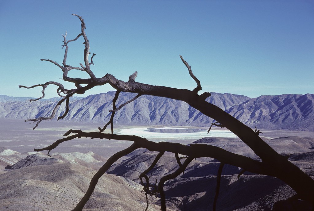 Pine Lake