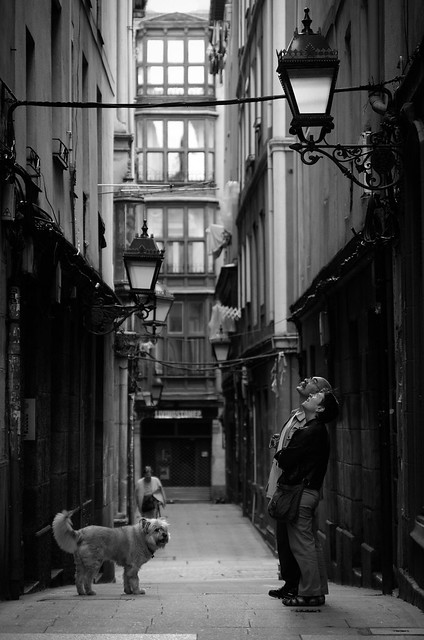 Bilbao - couple with dog spending an evening in the old town