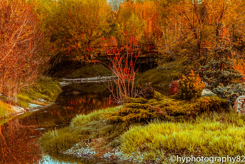 botanikbahcesi erzurum turkey turkiye türkiye bridge autumn landscape canon tree bahce bahçe sonbahar nature doğa river köprü nehir
